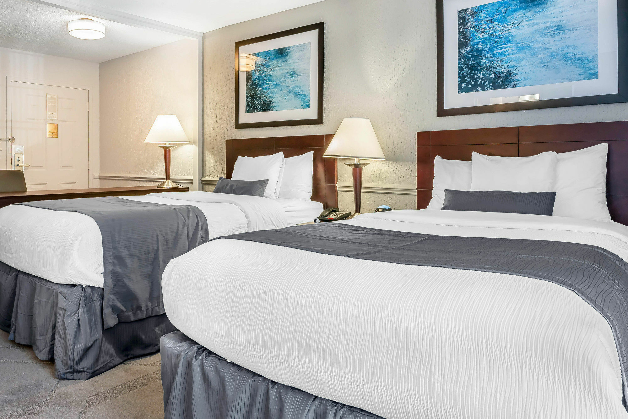 The Blu Hotel Blue Ash Cincinnati, Ascend Hotel Collection Bagian luar foto